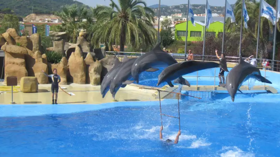 Lloret de Mar Obóz z językiem hiszpańskim - Hiszpania - wylot z Gdańska